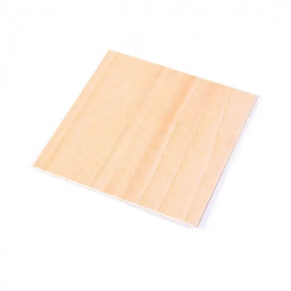 Snapmaker 1.0 Material Holzscheiben 10er Pack / CNC Material Pack Blank Wood (80 x 80 x 1.5 mm) – Ansicht 2