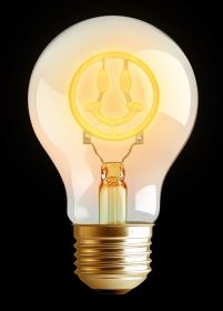 LED-Glühbirnen zum Aufladen – Ansicht 2