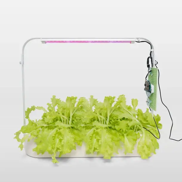 Forward Education Gewächshaus/Smart Hydroponics Kit – Ansicht 7