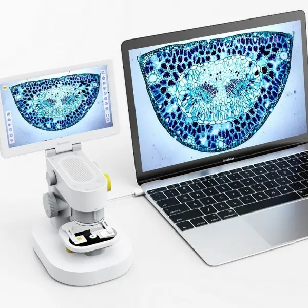 BeaverLAB Darwin MX – Ansicht 2